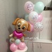 Сет розовые мятные шары и щенок на шарах