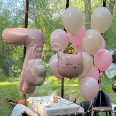 Сет розовые шары цифра лапка и кошка в короне