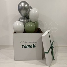 Сет белые эвкалипт серебряные шары хром и белая коробка-сюрприз