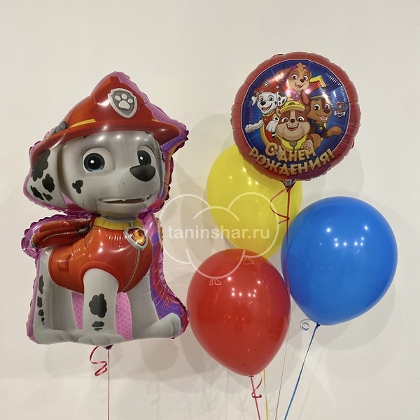 Сет щенячий яркий с щенком